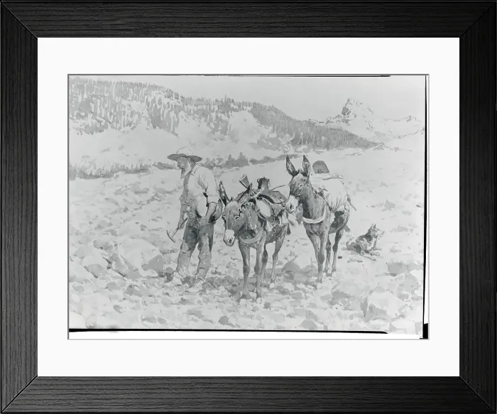 Framed Print : Prospector Searching for Gold Framed Print : Prospector Searching for Gold