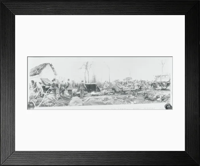 Framed Print : Transporting Wounded Soldiers Framed Print : Transporting Wounded Soldiers