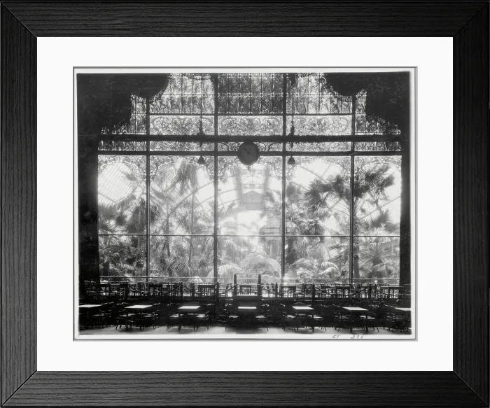 Framed Print : Foliage Outside Large Window Framed Print : Foliage Outside Large Window