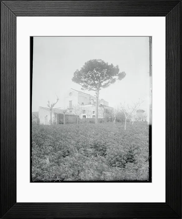Framed Print : House Standing Idly in Shrubbery Framed Print : House Standing Idly in Shrubbery