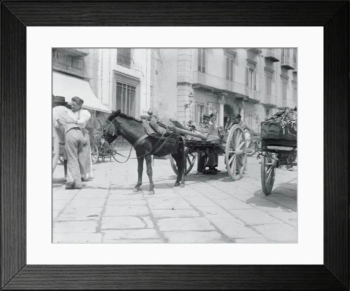 Framed Print : View of Huckster Vendors Using Horse and Carriage Framed Print : View of Huckster Vendors Using Horse and Carriage