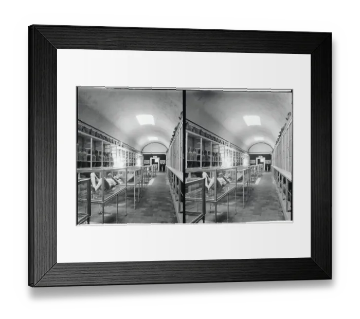 Framed Print : View of Museum in Pompeii Framed Print : View of Museum in Pompeii