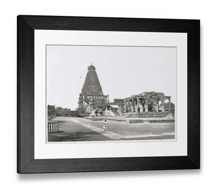 Framed Print : Great Pagoda and Sacred Bull Framed Print : Great Pagoda and Sacred Bull
