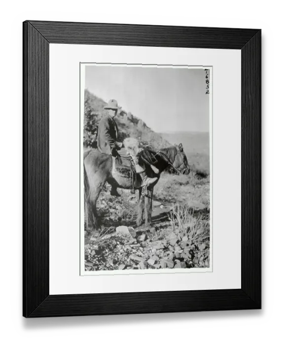 Framed Print : Forest Service Man on Horseback Framed Print : Forest Service Man on Horseback