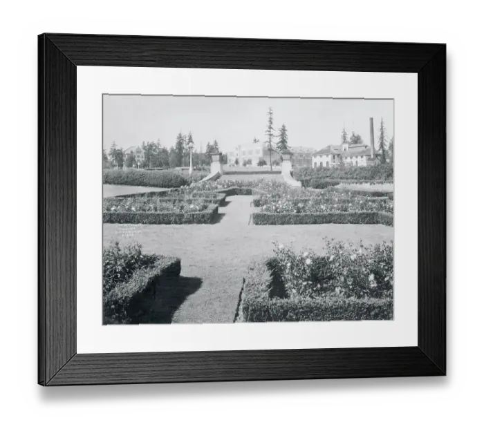Framed Print : General View of the University of Washington Framed Print : General View of the University of Washington