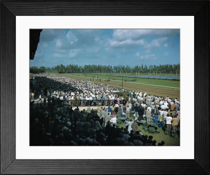 Framed Print : View of Crowd Watching Horse Racing