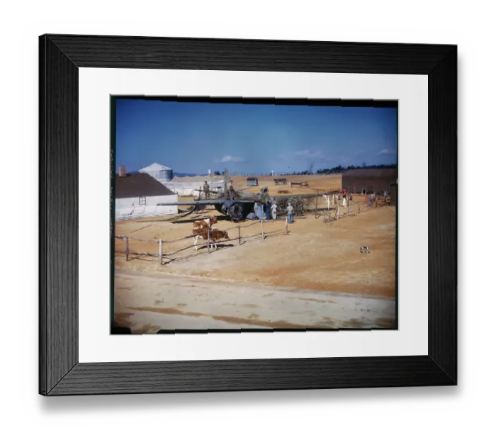 Framed Print : Soldiers Camouflaging a Plane