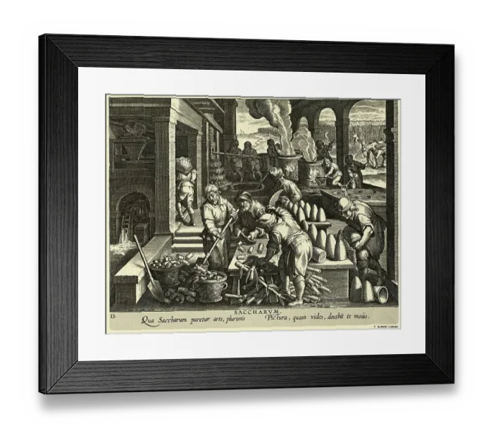Framed Print : Workers Working with Sugar Press Framed Print : Workers Working with Sugar Press