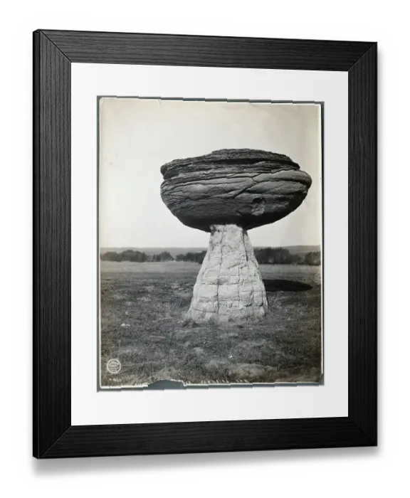Framed Print : Giant Toad Stool Rock
