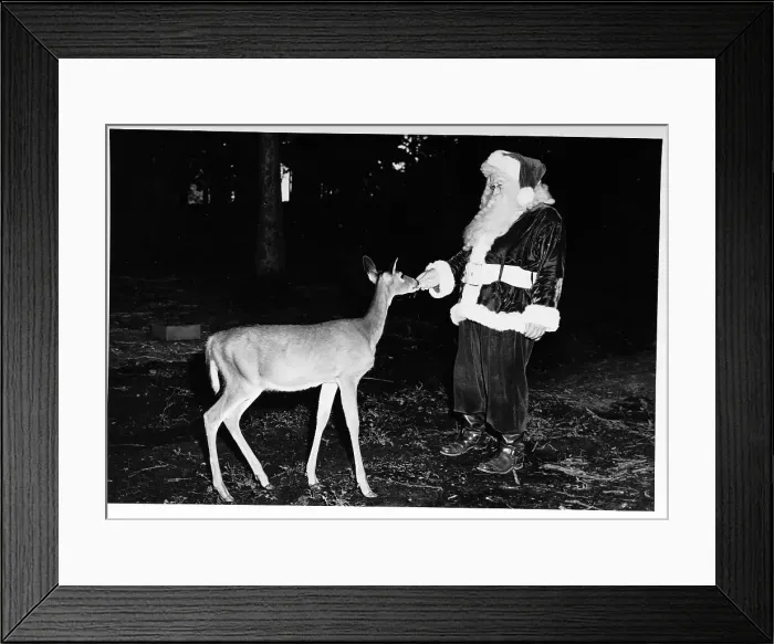 Framed Print : Santa Claus Feeds a Deer Framed Print : Santa Claus Feeds a Deer