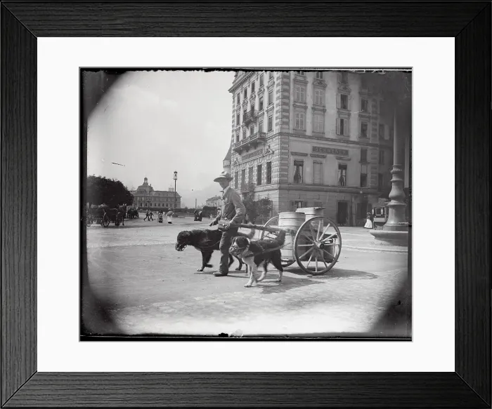 Framed Print : View of Milk Merchant with Dogs