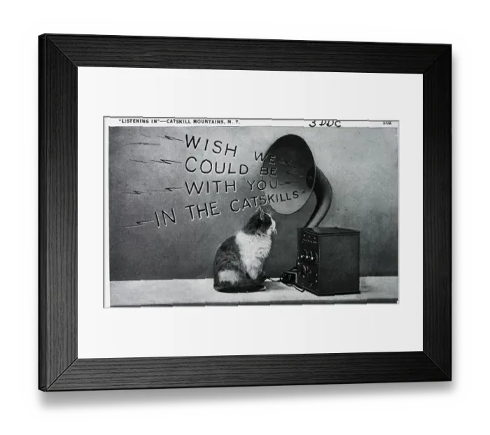 Framed Print : Postcard of Cat Listening to Gramophone Framed Print : Postcard of Cat Listening to Gramophone