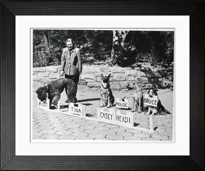 Framed Print : Woman Training Dogs To Find Name Plates