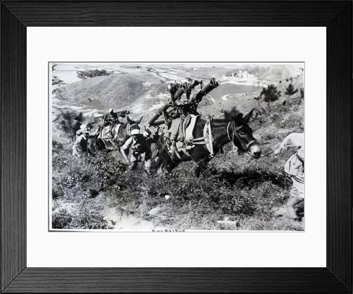 Framed Print : Chinese Soldiers Walking W / Pack Mules Framed Print : Chinese Soldiers Walking W / Pack Mules