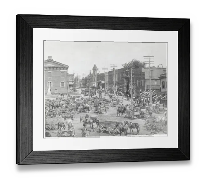 Framed Print : Market Scene In South Carolina 19Th Cent