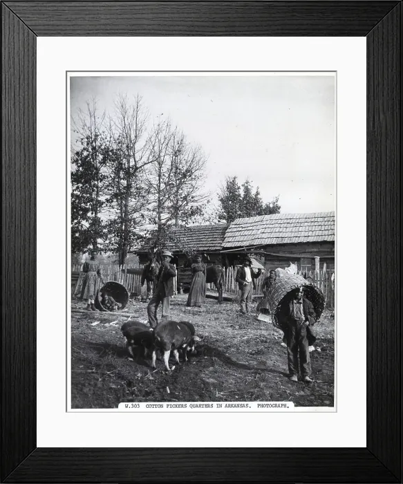 Framed Print : Black Cotton Pickers Quarters Framed Print : Black Cotton Pickers Quarters
