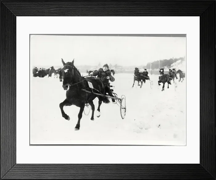 Framed Print : People Partaking in Winter Racing Framed Print : People Partaking in Winter Racing