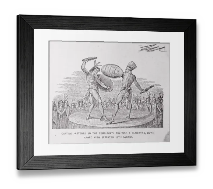 Framed Print : Spectators Watching Gladiators Battle Framed Print : Spectators Watching Gladiators Battle