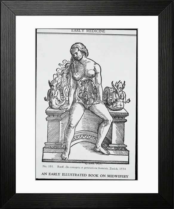 Framed Print : Anatomical Cross Section of Female