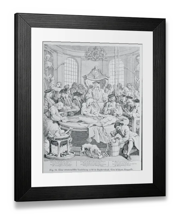 Framed Print : Antomical Lecture Framed Print : Antomical Lecture