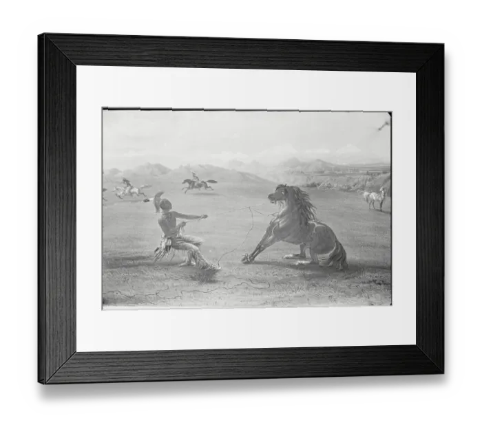 Framed Print : Indian Roping Horse Framed Print : Indian Roping Horse