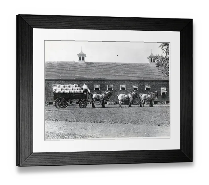 Framed Print : Six Horses Pulling Brewery Truck Framed Print : Six Horses Pulling Brewery Truck