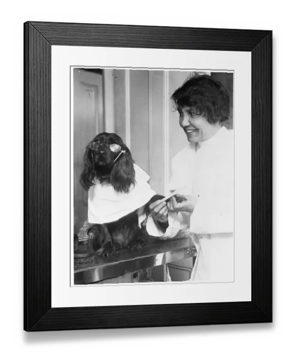 Framed Print : Dog In Sunglasses Getting Manicure Framed Print : Dog In Sunglasses Getting Manicure