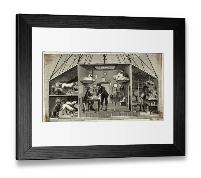 Framed Print : View of The Interior of The Car Framed Print : View of The Interior of The Car