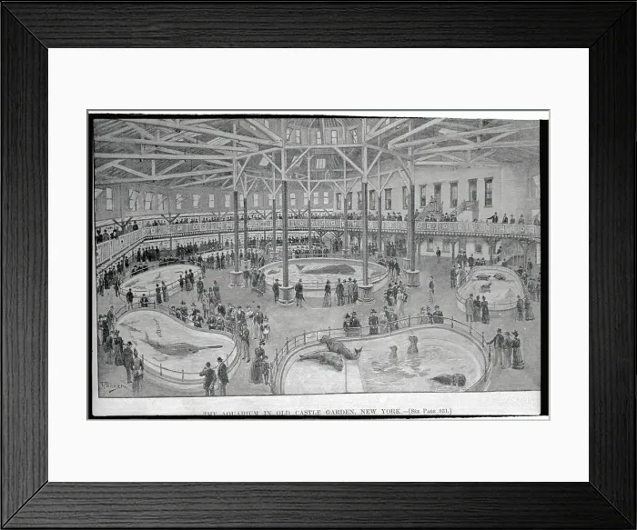 Framed Print : Aquarium in Castle Garden Framed Print : Aquarium in Castle Garden