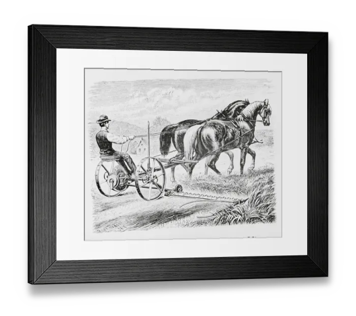 Framed Print : Horsedriven Cart with Device for Mowing Attached Framed Print : Horsedriven Cart with Device for Mowing Attached