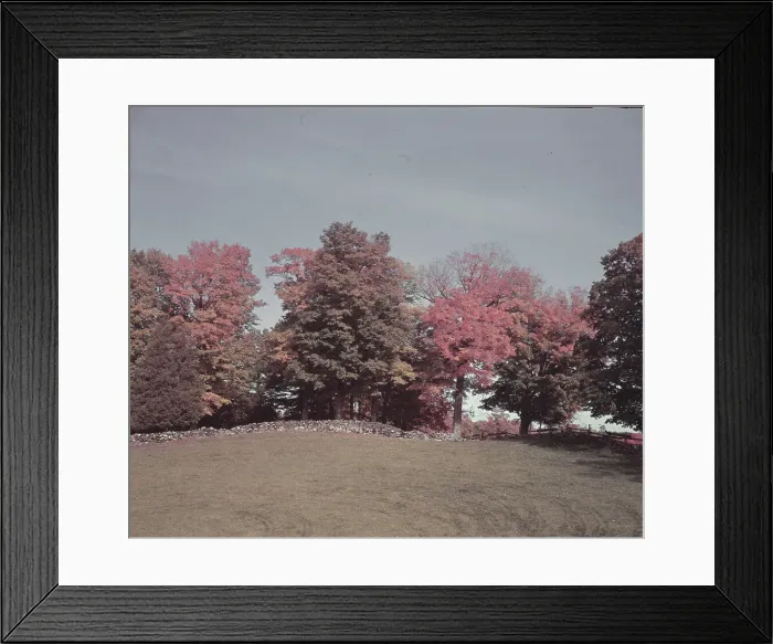 Framed Print : College Street in Autumn Framed Print : College Street in Autumn