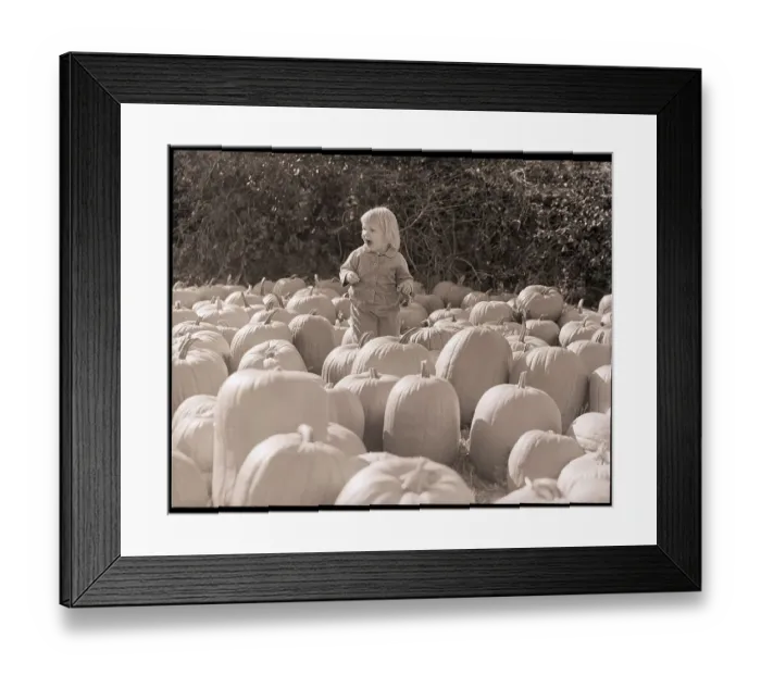 Framed Print : Child In A Pumpkin Farm Framed Print : Child In A Pumpkin Farm