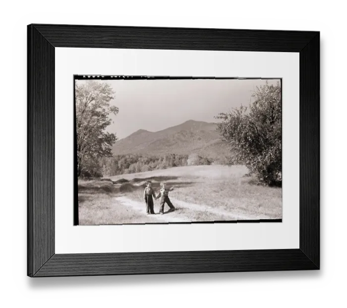 Framed Print : Two Young Boys In Old Apple Orchard