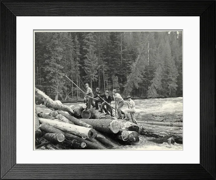 Framed Print : Men Stand On Pile Of Logs / Logging Framed Print : Men Stand On Pile Of Logs / Logging