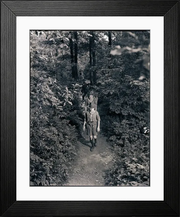Framed Print : Boy Scouts Hiking Through the Woods Framed Print : Boy Scouts Hiking Through the Woods