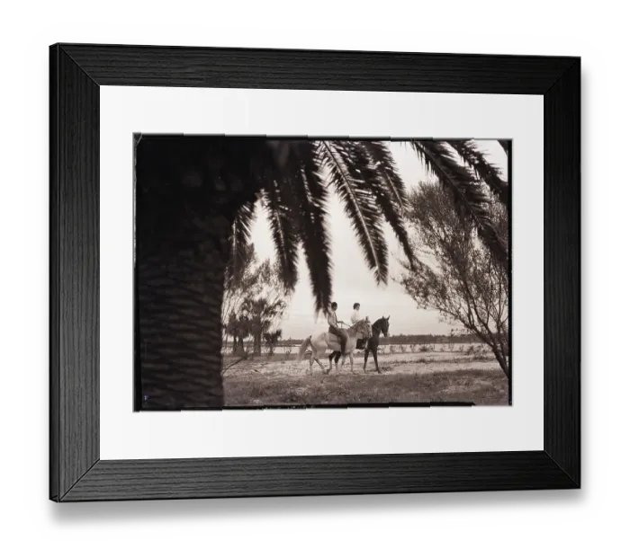 Framed Print : Horseback Riding Under Palm Trees Framed Print : Horseback Riding Under Palm Trees