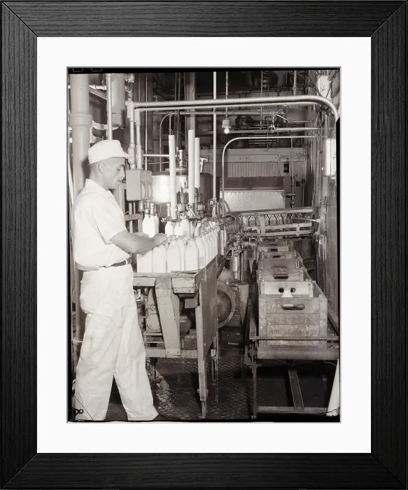 Framed Print : Man Working In Dairy Farm