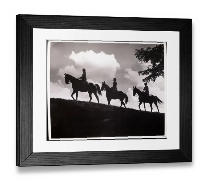 Framed Print : People On Horses Ride On Trail / Silhouett Framed Print : People On Horses Ride On Trail / Silhouett