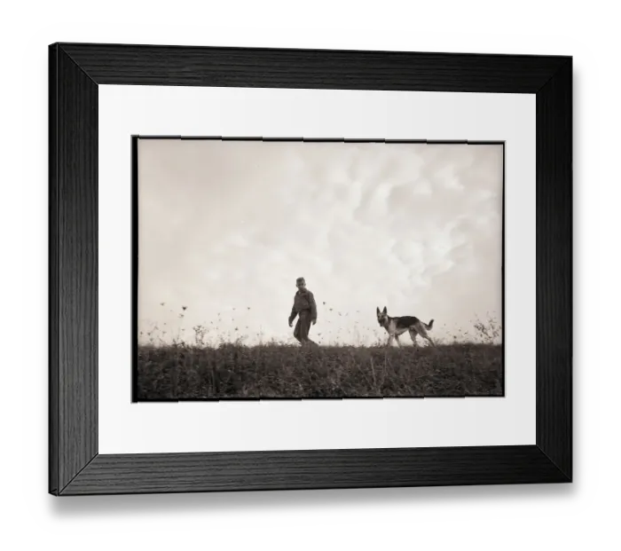 Framed Print : Man Walking Dog Framed Print : Man Walking Dog