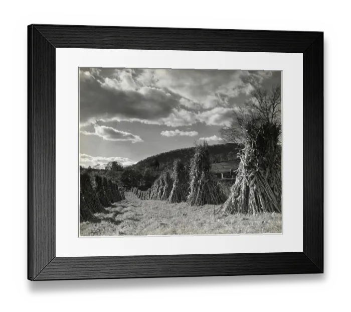 Framed Print : October In Conneticut / Country Framed Print : October In Conneticut / Country