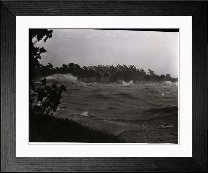 Framed Print : Rough Water and Blowing Palm Trees Framed Print : Rough Water and Blowing Palm Trees