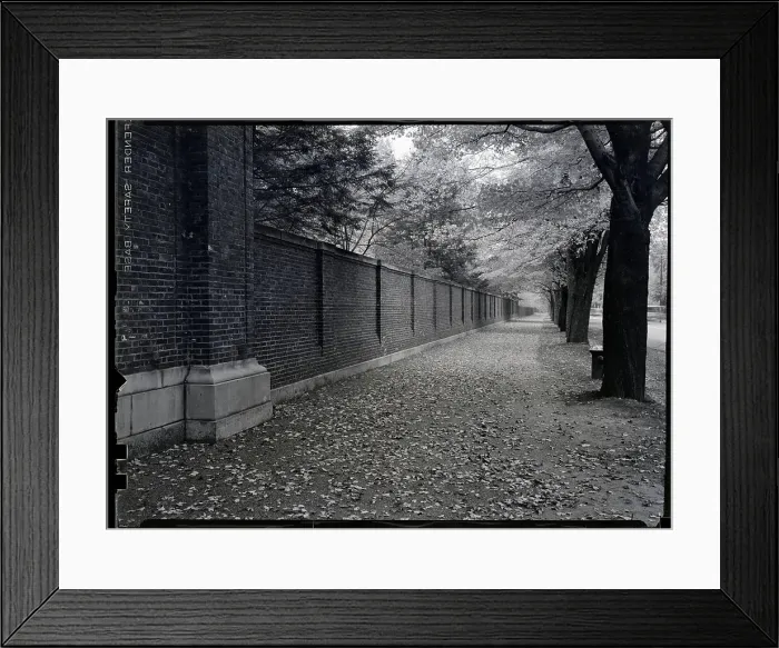 Framed Print : Autumn Scene By A Large Wall Framed Print : Autumn Scene By A Large Wall