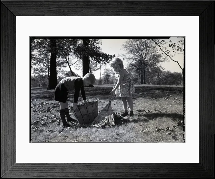 Framed Print : Boy And Girl Rake Leaves