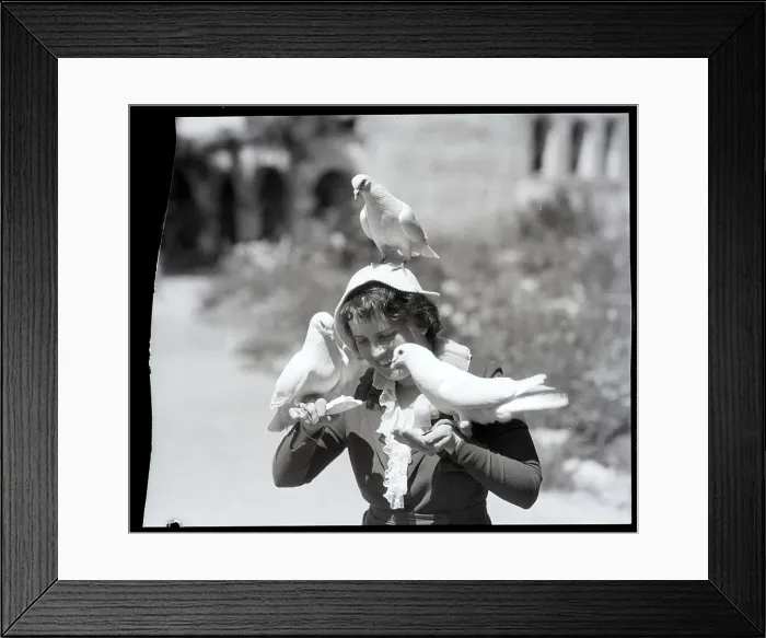 Framed Print : Woman Feeding Pigeons Framed Print : Woman Feeding Pigeons