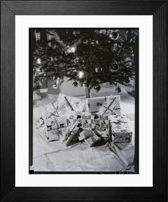 Framed Print : Christmass Tree And Presents Under It Framed Print : Christmass Tree And Presents Under It
