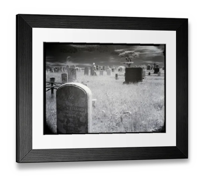 Framed Print : Overgrown Cemetery Framed Print : Overgrown Cemetery