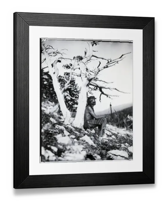 Framed Print : The Old Medicine Man Framed Print : The Old Medicine Man