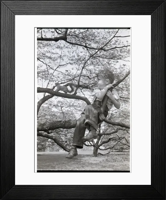 Framed Print : Boy Sitting In Tree With Squirrel Framed Print : Boy Sitting In Tree With Squirrel