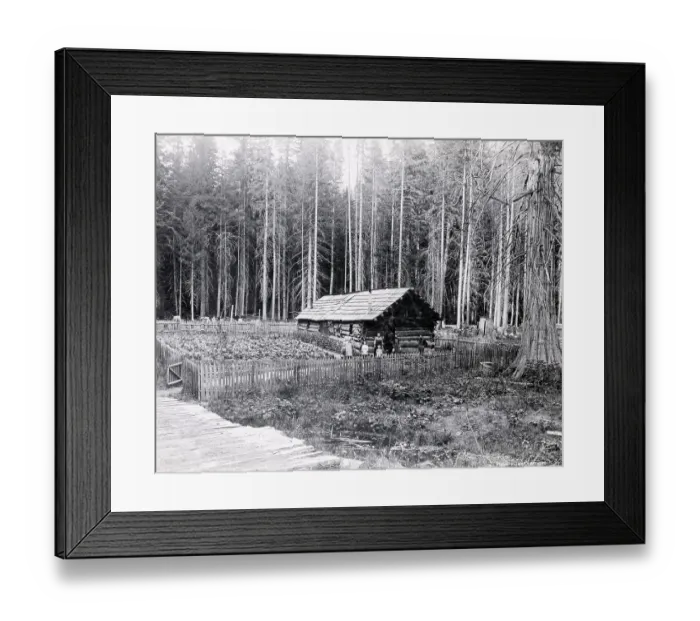 Framed Print : Homesteader In Home In Forest Framed Print : Homesteader In Home In Forest