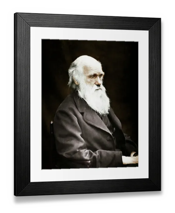 Framed Print : Charles Darwin Framed Print : Charles Darwin